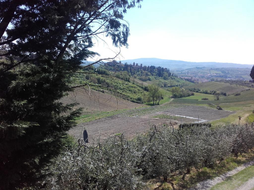 Agriturismo Il Torrione Vila Certaldo Exterior foto