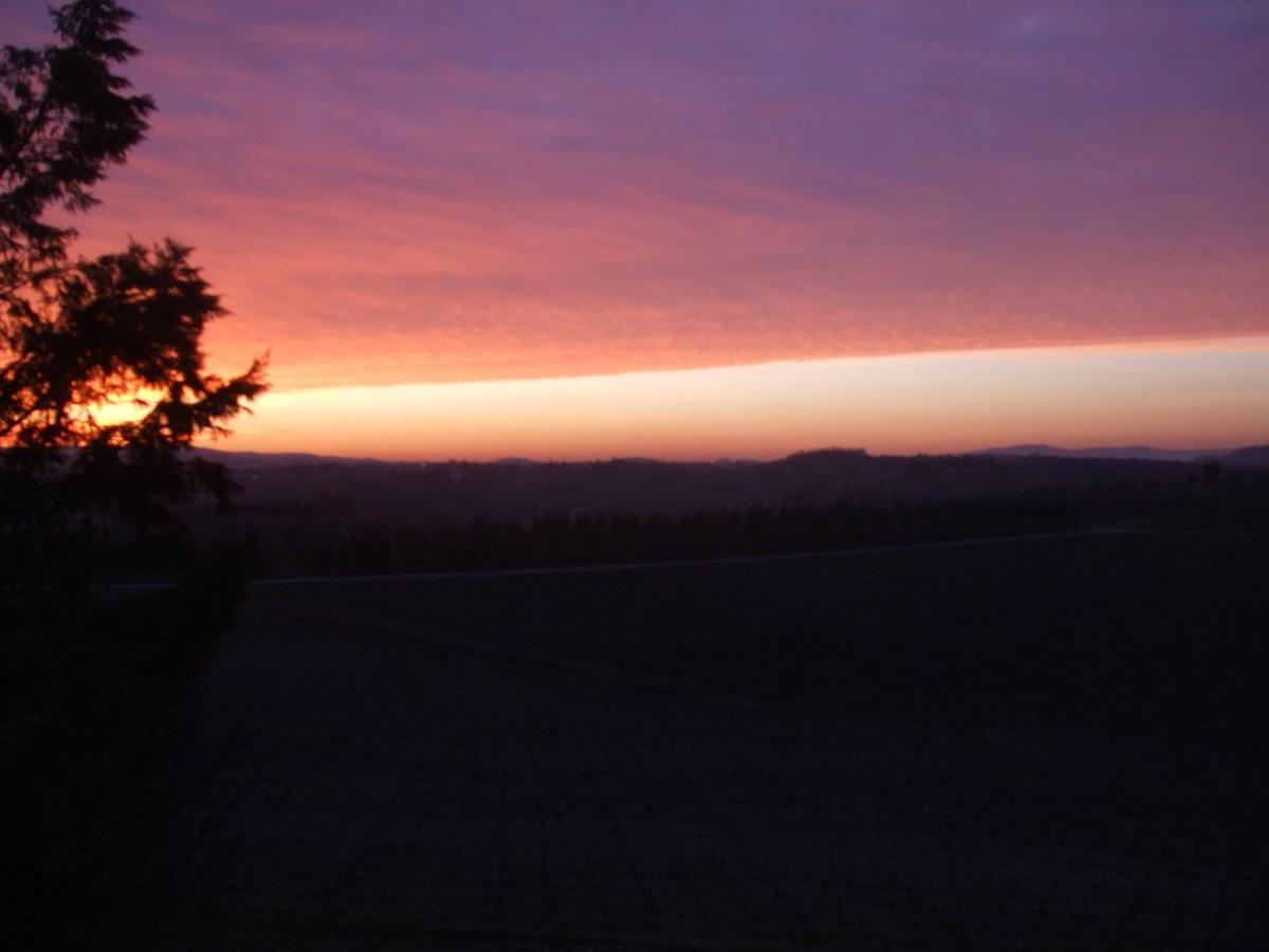 Agriturismo Il Torrione Vila Certaldo Quarto foto